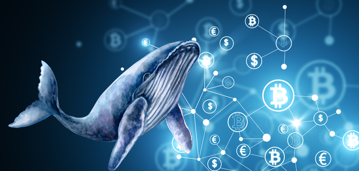 Think Like a Whale — How Insiders Actually Trade Crypto